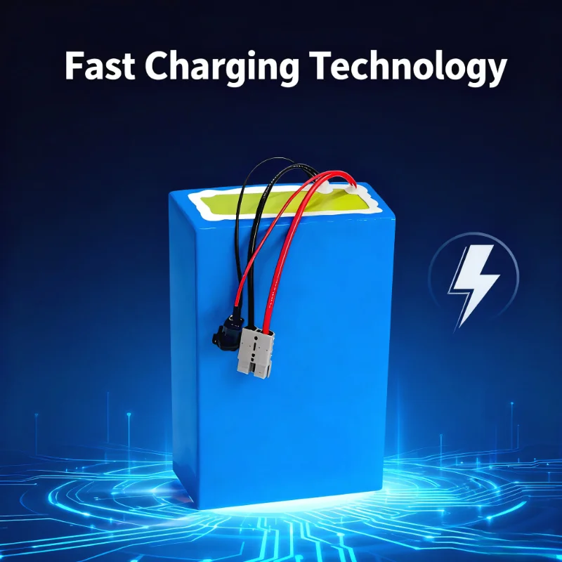 BMS 72V 리튬이온 배터리 팩 20Ah/30Ah/5 - 72V 60Ah Lifepo4 Battery Pack 리뷰 및 가격
